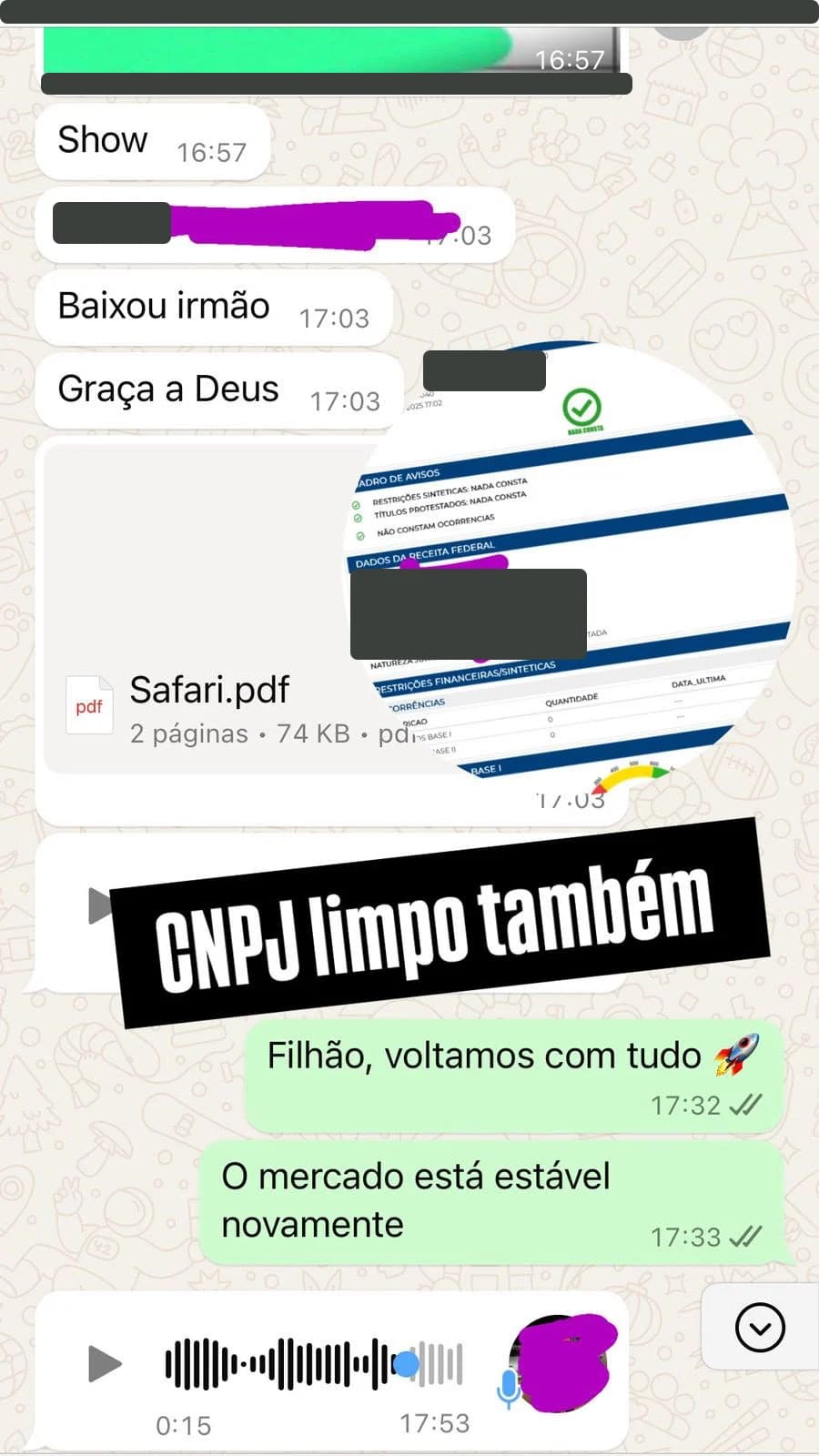 Conversa sobre consulta de CNPJ sem restrições, com dados da empresa ocultados